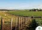 Justiça recebe ação de usucapião de sítio rural de 24 hectares em Figueirópolis D’Oeste