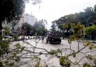 Rio de Janeiro em Alerta: Ventos de Até 76 km/h São Esperados Nesta Quarta-feira
