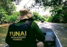 TRF1 Reafirma Restrições em Terra Indígena Piripkura e Protege Direitos dos Povos Originários