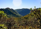 Cocalinho (MT) Lidera Recuperação de Vegetação no Cerrado, Segundo MapBiomas