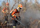 Mato Grosso Registra Redução de 60% nos Focos de Calor em 2026