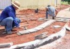 Alta Floresta: Sine oferece 53 vagas de emprego com foco no setor de serviços