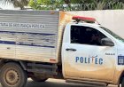 Jovem morre após descarga elétrica enquanto cortava bambu em Mato Grosso