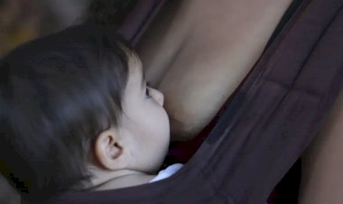 Amamentação: Importante Aliada na Prevenção de Doenças Cardiovasculares em Mulheres