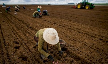 Governo atrasa R$ 141 milhões do Seguro Rural e aumenta preocupação no campo com próxima safra