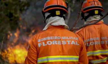 Homem é Detido por Incêndio em Parque Estadual no Pantanal de MT
