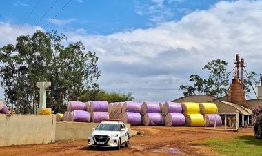 Operação Energia Limpa: Algodoeira e Fábrica de Ração São Flagradas em Furto de Energia em MT
