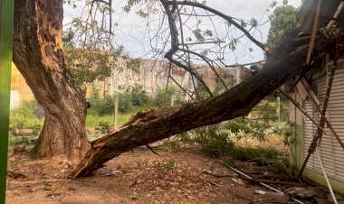 Prefeitura auxilia enfermeira atingida por árvore e remaneja serviços da USF Lixeira Baú