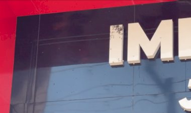 Bombeiros de Sorriso utilizam jato de água para remover enxame de marimbondos