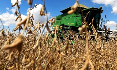 Aumento do Diesel Impacta Custos de Produção e Transporte da Soja em Mato Grosso