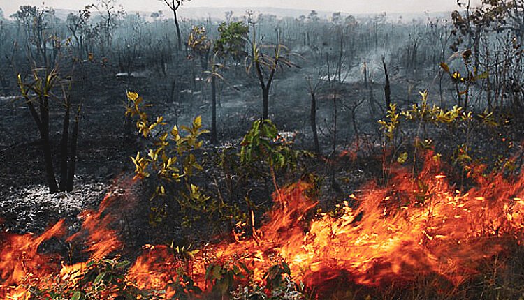 Mato Grosso Registra Menor Número de Focos de Calor da História em Julho de 2026