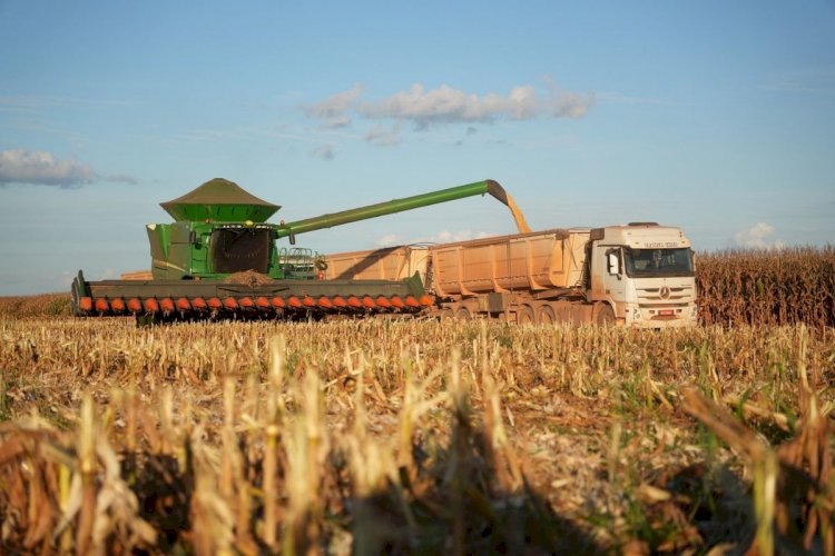 Mato Grosso se aproxima de recorde histórico na colheita de milho com 99� safra finalizada