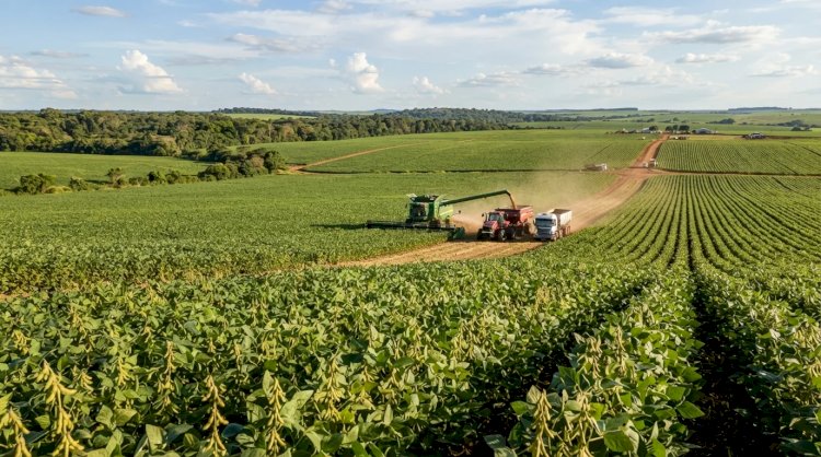 Custos da Soja em Mato Grosso Atingem R$ 8,17 Mil por Hectare na Safra 2026/27