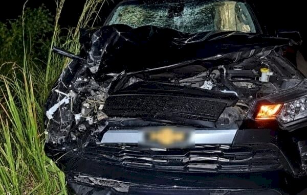 Cavalo é atropelado na MT-206 e passageiro sofre ferimentos leves