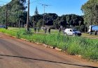 Cabeça humana é encontrada em canteiro de rotatória na MT-100