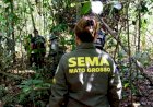 Governo de MT já aplicou R$ 303 milhões em multas por crimes ambientais em 2024