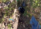 Corpo em estado de decomposição é encontrado em obra na região do Araguaia