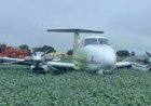 Avião da família Maggi sofre acidente durante pouso em fazenda na região do Araguaia
