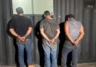 Três homens são presos por manter reféns e roubar mais de 200 cabeças de gado de fazenda em MT