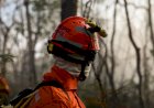Bombeiros combatem incêndios florestais em Canarana e outras regiões do Estado