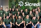 Sicredi Araxingu abre mais de 60 vagas de emprego em sua área de atuação; CONFIRA VAGAS