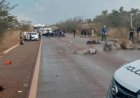 Motociclista morre atropelado por caminhão após bezerro invadir pista na BR-158
