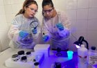 Corpo carbonizado em Confresa é identificado pelas impressões digitais