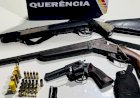 Polícia Militar prende homem por atirar em cachorro e apreende seis armas de fogo na região do Araguaia