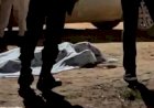 Adolescente é executado a tiros e suspeitos filmam corpo antes de fuga