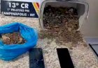 Suspeitos são presos após furto em supermercado e mais de R$ 26 mil são recuperados em Campinápolis; vídeo