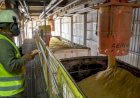 Economia de Mato Grosso cresce 56% e supera China e Brasil juntos em sete anos