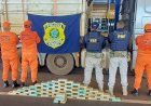 PRF apreende mais de 60 kg de pasta base de cocaína em Barra do Garças; carga iria para João Pessoa