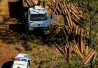 Polícia Militar prende dois homens suspeitos por extração ilegal de madeira em Campinápolis
