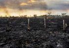 Incêndios podem comprometer produtividade do solo por até 10 anos em Mato Grosso