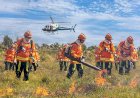 Incêndio atinge mais de 13 mil hectares em Barra do Garças