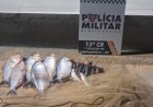 PM apreende mais de 10 kg de pescado durante patrulhamento rural em Campinápolis
