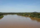 Período de defeso da Piracema será entre 1º de outubro de 2026 e 31 de janeiro de 2027 em MT