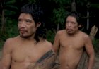 Justiça manda retirar invasores de terra onde vivem os 2 últimos Piripkura isolados em MT
