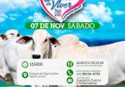 Campinápolis realiza 13º Leilão Direito de Viver em prol do Hospital de Amor de Barretos