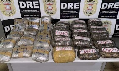 Polícia Civil apreende carga de supermaconha avaliada em R$ 500 mil
