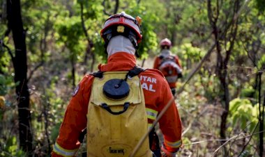 Dino estabelece orçamento de emergência para combate a incêndios