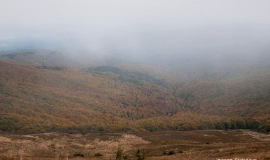 Fazendeiro firma TAC e se compromete a recuperar área de reserva em Água Boa
