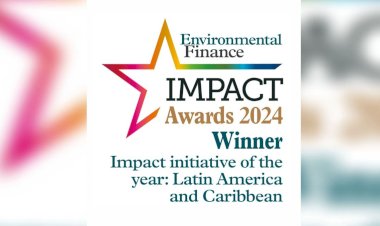 Sicredi recebe prêmio internacional por financiar pequenas empresas lideradas por mulheres