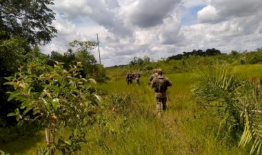 Corpo encontrado sem a cabeça e os braços na zona rural de Confresa é de homem desaparecido desde março