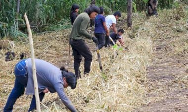 Projeto incentiva a produção de alimentos e geração de renda em aldeias da etnia Xavante