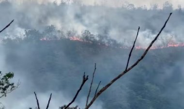 Incêndio de grandes proporções avança próximo a Terra Indígena em Barra do Garças após município decretar estado de emergência