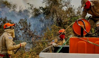 Corpo de Bombeiros aplica mais de R$ 205 milhões em multas por uso irregular do fogo em MT