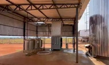 Com apoio do Governo de MT, cooperativismo fortalece produção de leite na região do Araguaia