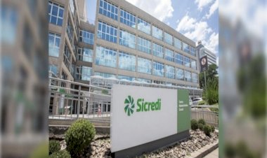 Sicredi neutraliza 27 mil toneladas de carbono calculadas em seu Inventário de Emissões