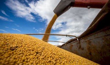 Polícia indicia dois do Agro por desviar carga de R$ 9 milhões em soja de armazém em Água Boa e Ribeirão Cascalheira